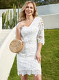 Eilly Bazar Floral Pattern V Neck Lace Dress